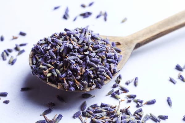 تصویر 5 از قیمت خرید گیاه خشک اسطوخودوس  عمده به صرفه و ارزان